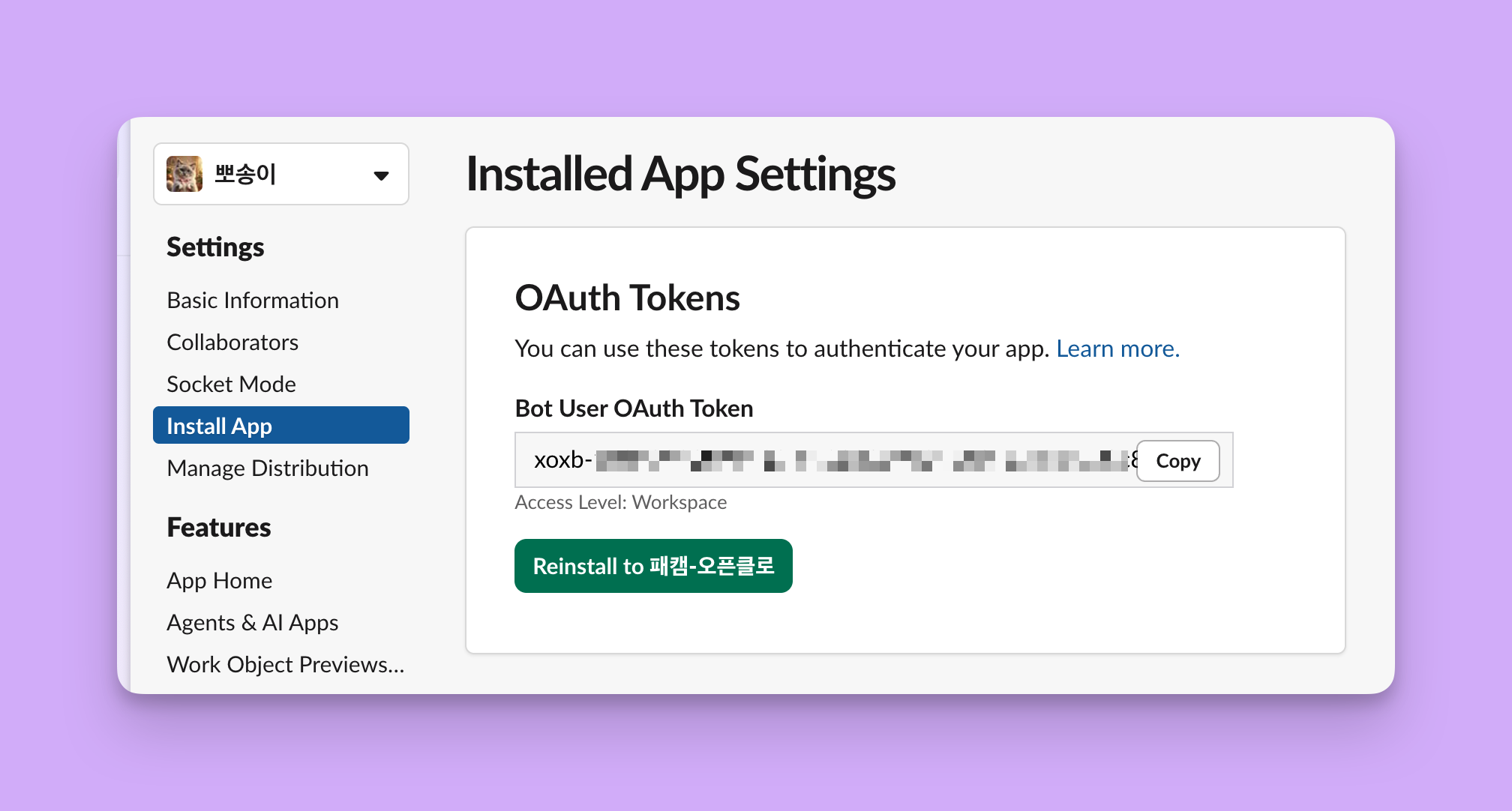 Install to Workspace 후 봇 토큰 xoxb-